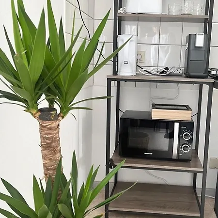 Apartament Lenastay I Modernes Apartment-studio Near Uni Kaiserslautern