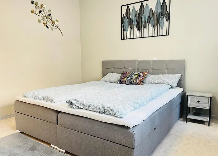 Lenastay I Modernes Apartment-studio Near Uni Апартаменты Кайзерслаутерн