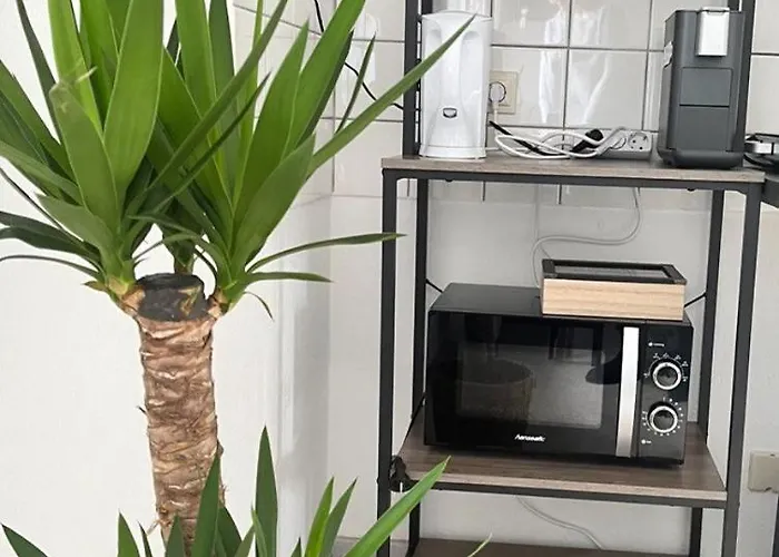 Апартаменты Lenastay I Modernes Apartment-studio Near Uni Кайзерслаутерн